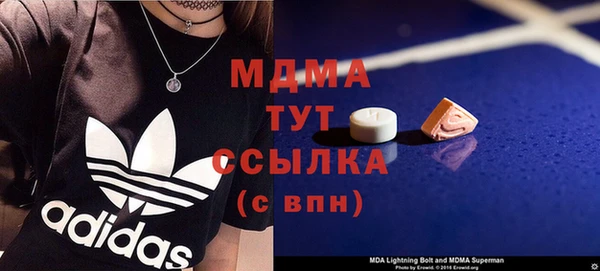 индика Алексин