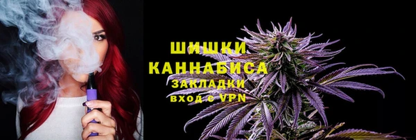 дмт Бикин