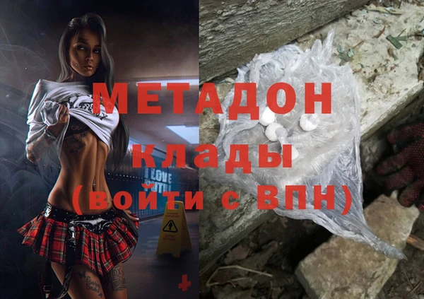 индика Алексин