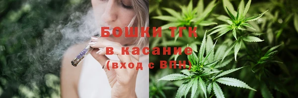 индика Алексин