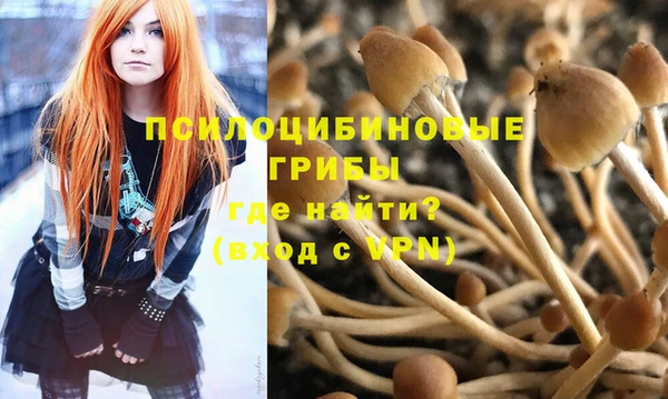 соль ск Алзамай