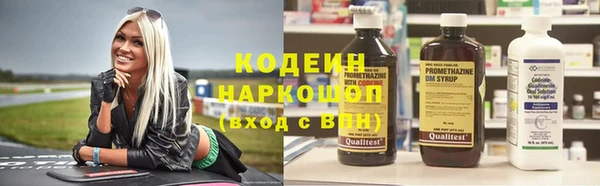 индика Алексин