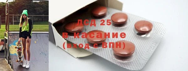 индика Алексин