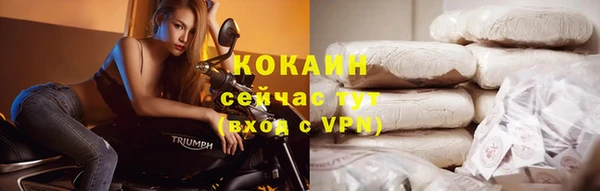 индика Алексин