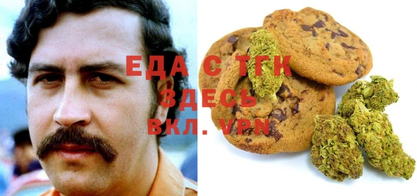 индика Алексин