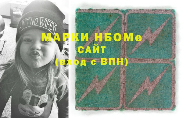 индика Алексин