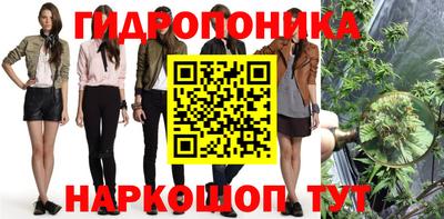 PSILOCYBIN Партизанск