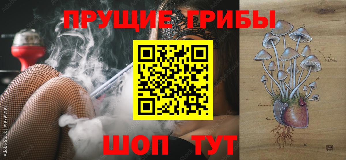 как найти   Вход с VPN  Севастополь  Псилоцибиновые грибы мухоморы 