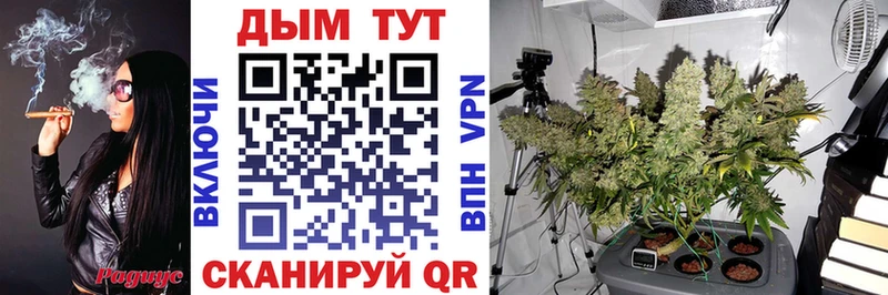 цены Севастополь Конопля план